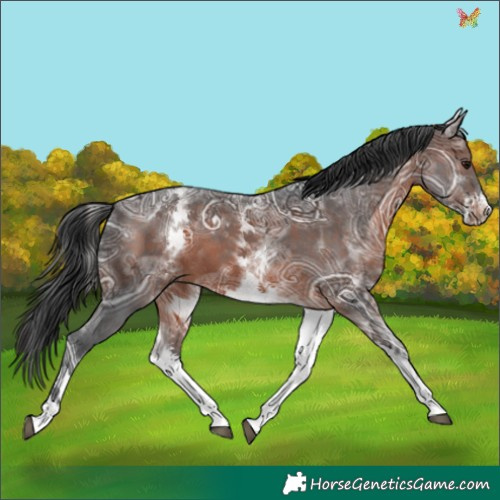 Horse Color:White Spotted Brown Ice