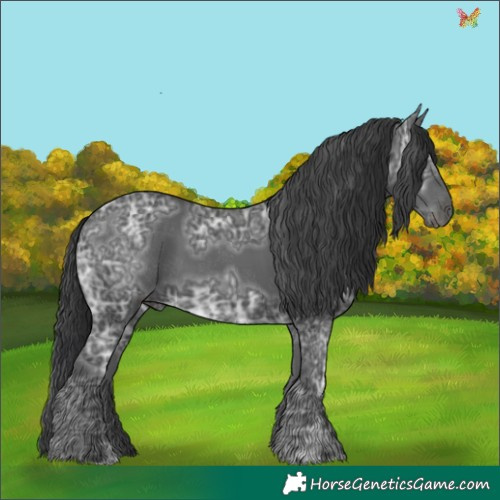 Horse Color:Black Ice 