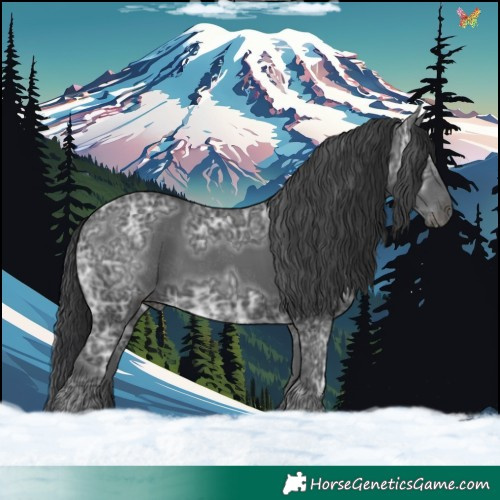 Horse Color:Black Ice 
