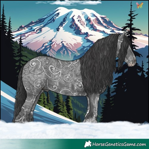 Horse Color:Black Ice Sabino 