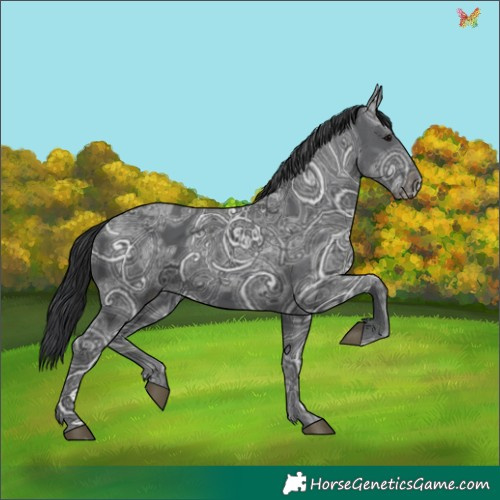 Horse Color:Black Ice 