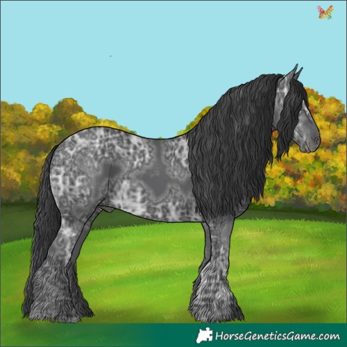 Horse Color:Black Ice 