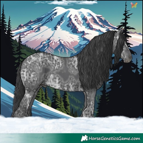 Horse Color:Black Ice 