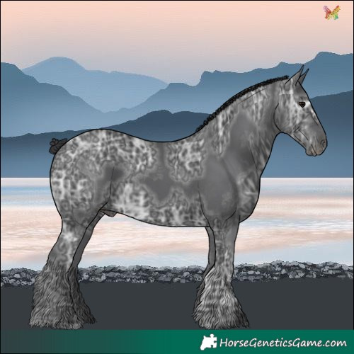 Horse Color:Black Ice 