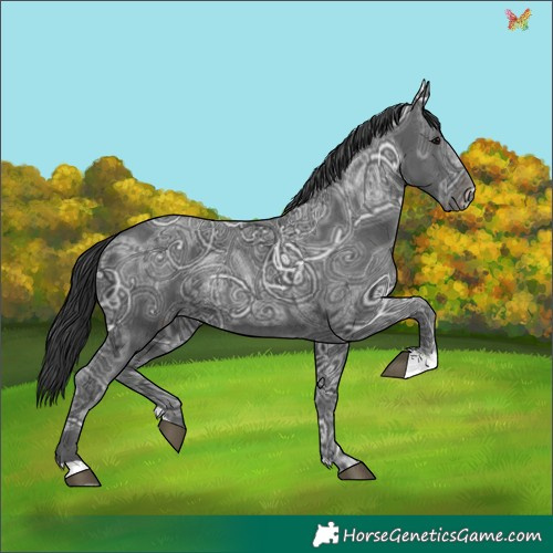 Horse Color:Black Ice