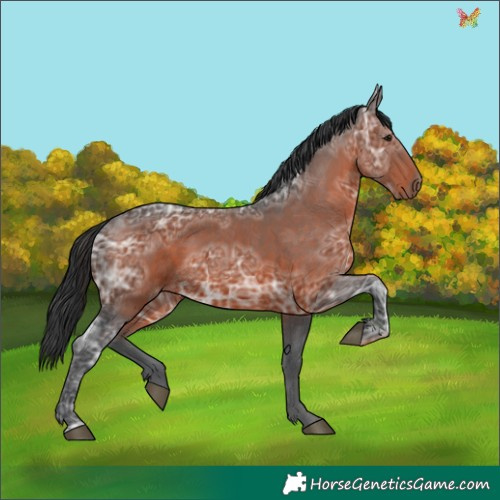 Horse Color:Brown Ice 