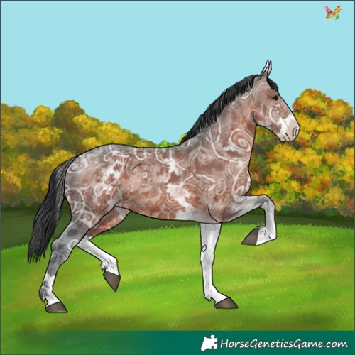 Horse Color:White Spotted Brown Ice Sabino 
