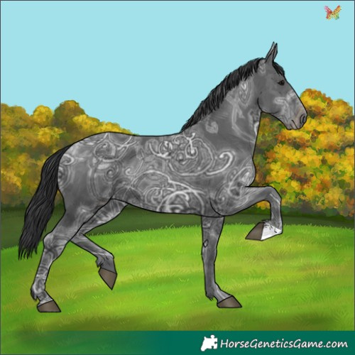 Horse Color:Black Ice 