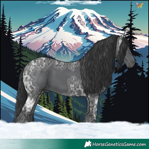 Horse Color:Black Ice 