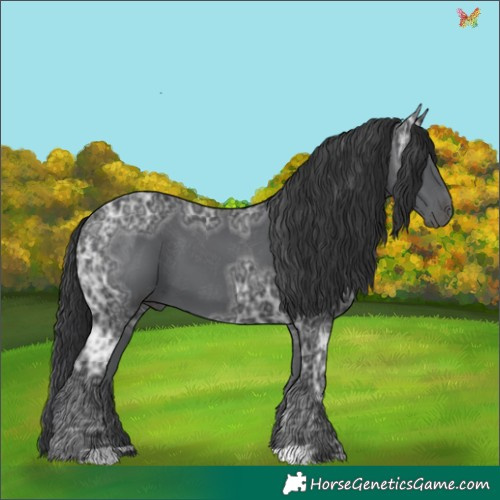 Horse Color:Black Ice 