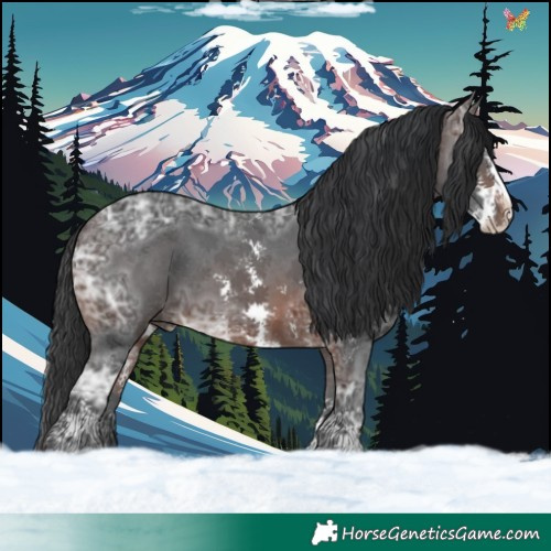 Horse Color:Brown Ice Sabino 
