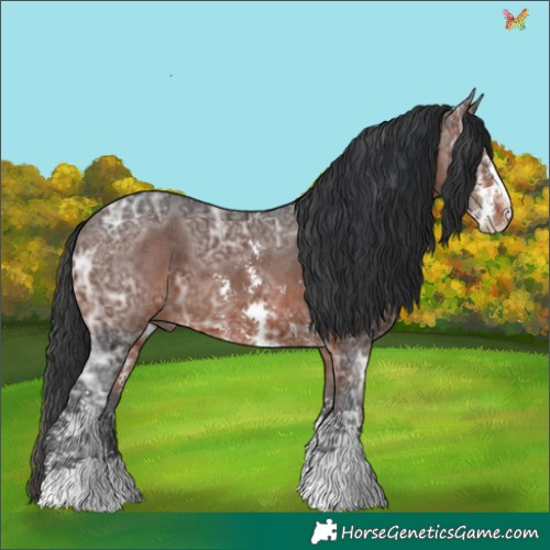 Horse Color:Brown Ice Sabino 