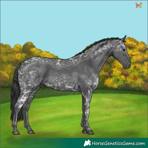 Horse Color:Black Ice 