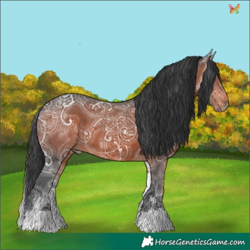Horse Color:White Spotted Brown Ice 