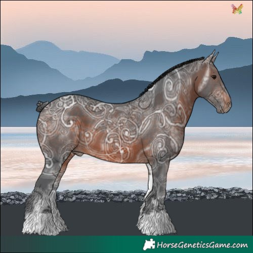 Horse Color:White Spotted Brown Ice 