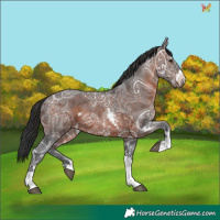Horse Color:Brown Ice Sabino