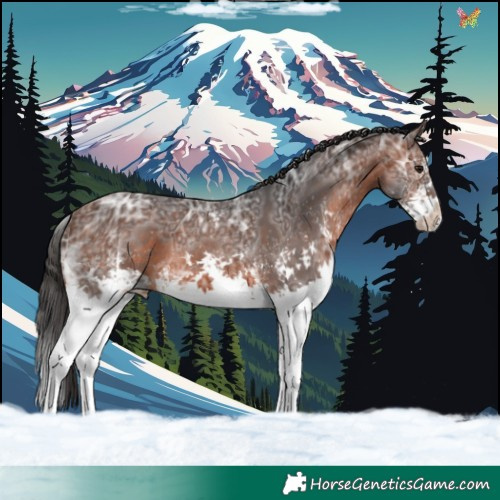 Horse Color:White Spotted Brown Ice 