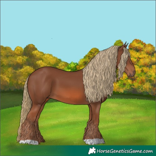 Horse Color:Chestnut 