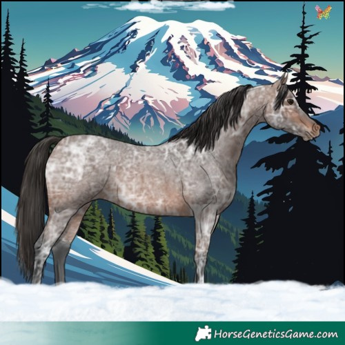 Horse Color:Brown Ice Roan 