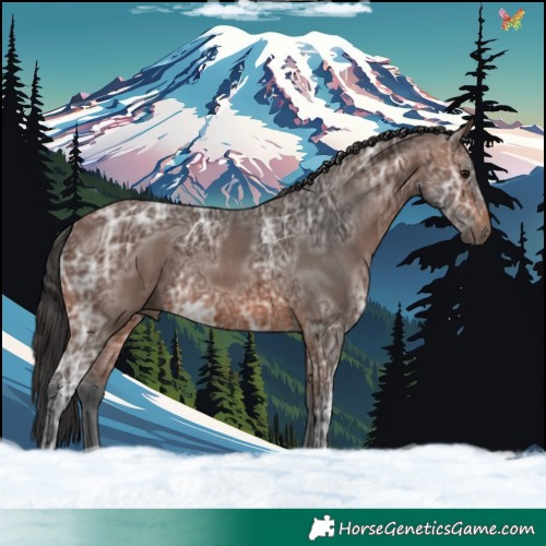 Horse Color:Brown Ice 