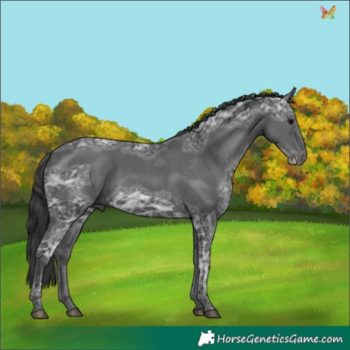 Horse Color:Black Ice 