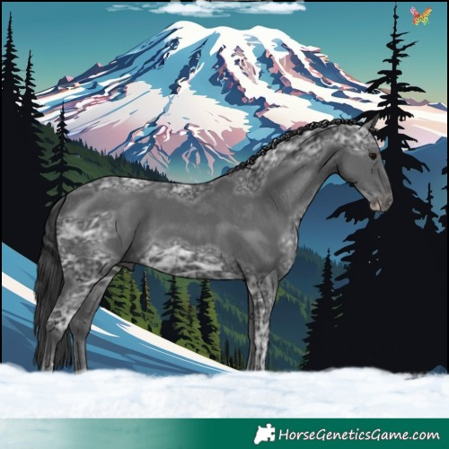 Horse Color:Black Ice 