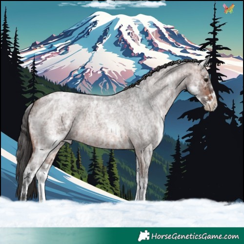 Horse Color:White Spotted Brown Ice Roan 