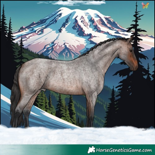Horse Color:Brown Roan 