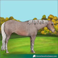 Horse Color:Silver Brown Tobiano Varnish 