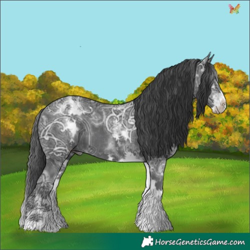 Horse Color:White Spotted Black Ice 