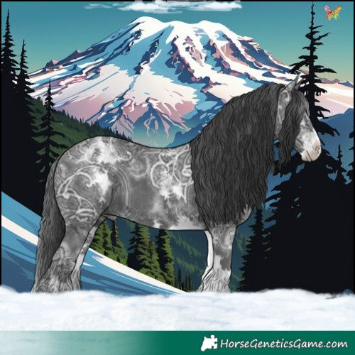 Horse Color:White Spotted Black Ice 