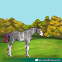 Horse Color:Painted Liver Chestnut Sabino Splash Snowflake Varnish