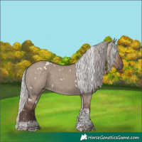 Horse Color:White Spotted Silver Grullo Tobiano