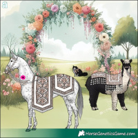 Horse Color:White Spotted Black