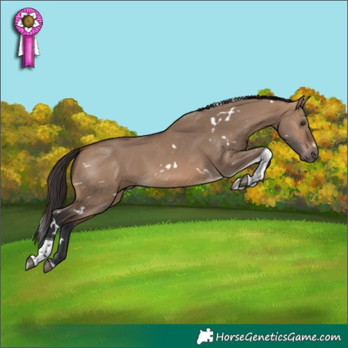 Horse Color:White Spotted Brown Dun Tobiano 