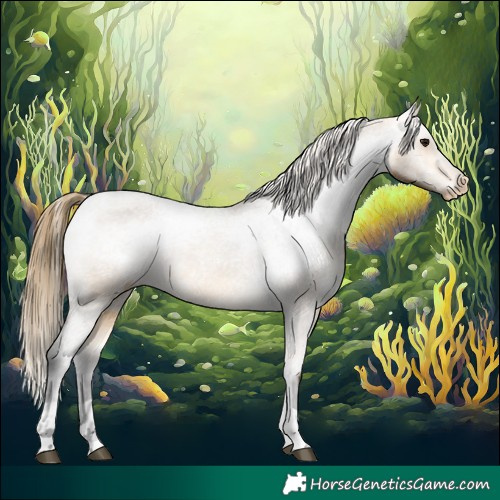 Horse Color:Buckskin Varnish  and Buckskin Varnish 