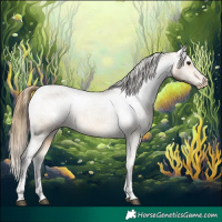 Horse Color:Buckskin Varnish  and Buckskin Varnish 