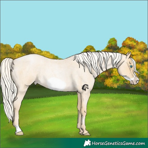 Horse Color:Silver Smoky Blue Roan Pearl Frame 