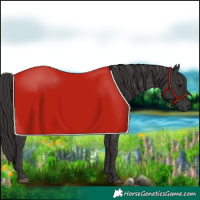 Horse Color:Smoky Black