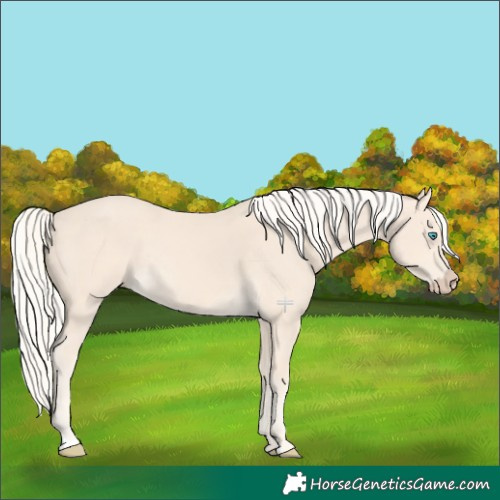 Horse Color:Cremello Rabicano 