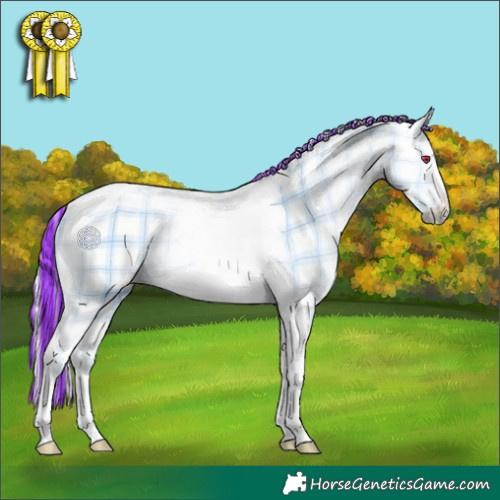 Horse Color:Painted Plaid  Red Dun Chinchilla Tobiano 