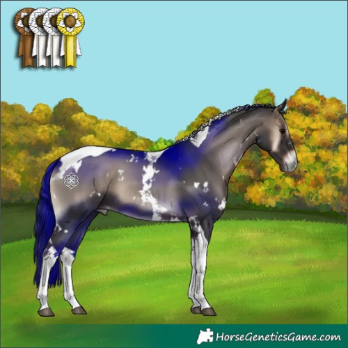 Horse Color:White Spotted Blue Onyx Tobiano 