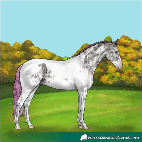 Horse Color:Painted White Spotted Chocolate Classic Champagne Ice Onyx Splash Tobiano 