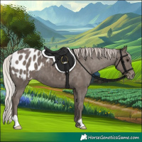 Horse Color:Silver Black Blanket 