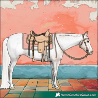 Horse Color:Silver Bay Snowcap 