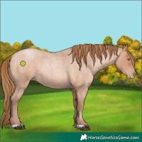 Horse Color:Brown Roan Pearl 