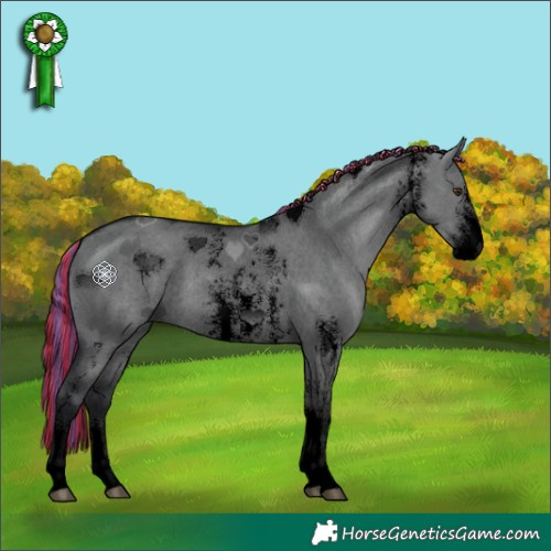 Horse Color:Void Painted Grullo Chinchilla Sabino 
