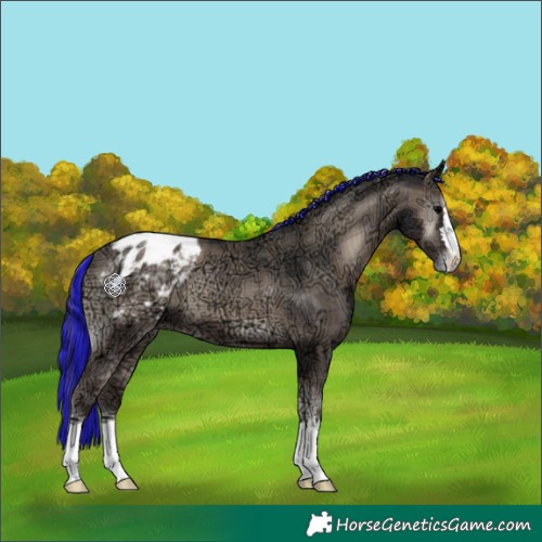 Horse Color:Painted Plaid  Blue Onyx Ice Varnish 
