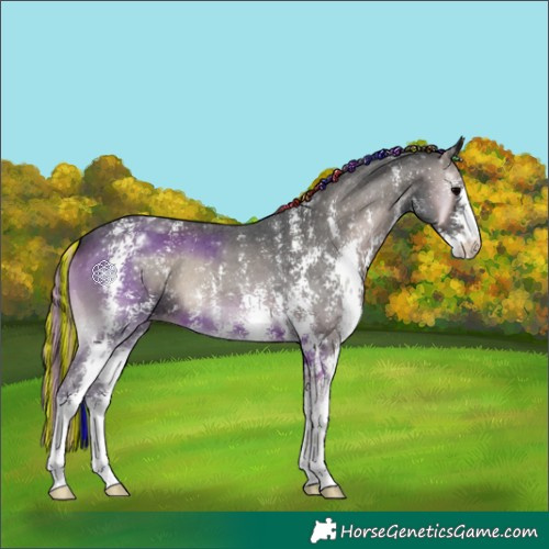 Horse Color:Painted Blue Onyx Sabino Appaloosa 