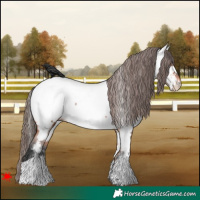 Horse Color:Bay Near Fewspot Rabicano 